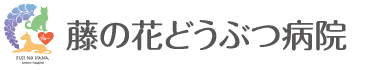 藤の花どうぶつ病院