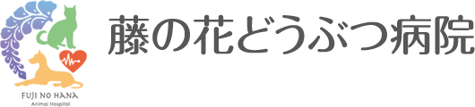 藤の花どうぶつ病院